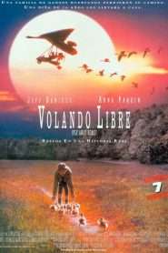 Fly Away Home / Volando a casa