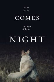 It Comes at Night / Viene de noche